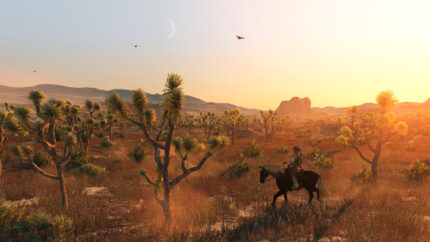 Купить Red Dead Redemption код активации